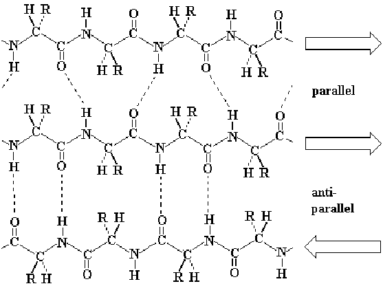 \begin{figure}
\begin{center}
\includegraphics[width=0.8\textwidth]{est2protE}
\end{center}
\end{figure}