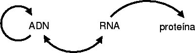 \begin{figure}
\begin{center}
\includegraphics[width=0.8\textwidth]{flujoinfo}
\end{center}
\end{figure}