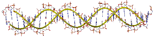 \begin{figure}
\begin{center}
\includegraphics[width=1.0\textwidth]{dna}
\end{center}
\end{figure}