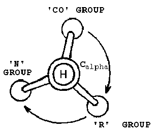 \begin{figure}
\begin{center}
\includegraphics[width=0.3\textwidth]{amino_stereo}
\end{center}
\end{figure}